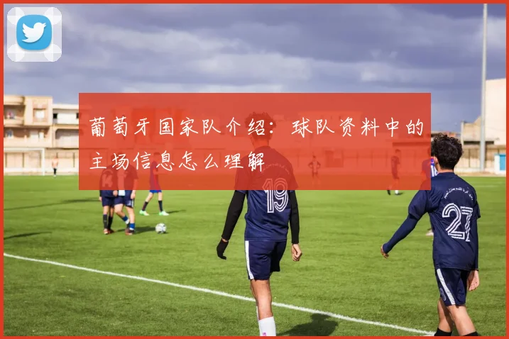 葡萄牙国家队介绍:球队资料中的主场信息怎么理解