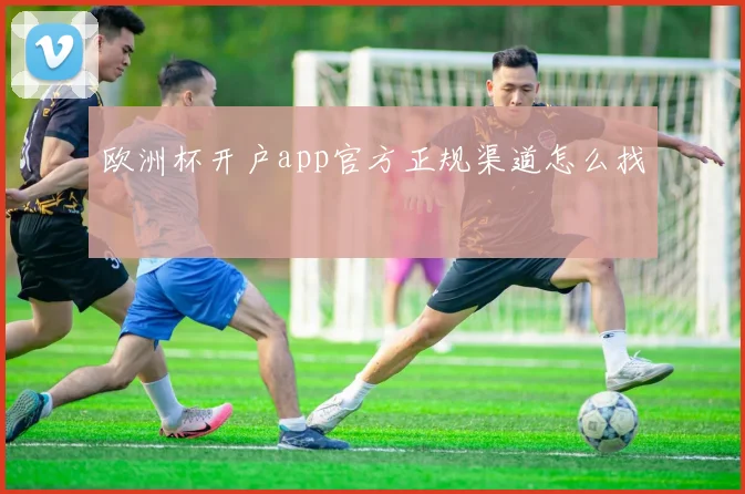欧洲杯开户app官方正规渠道怎么找