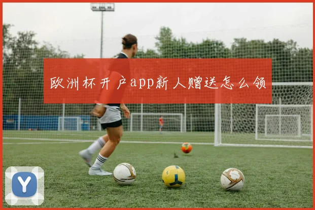 欧洲杯开户app新人赠送怎么领