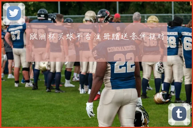 欧洲杯买球平台注册赠送条件核对
