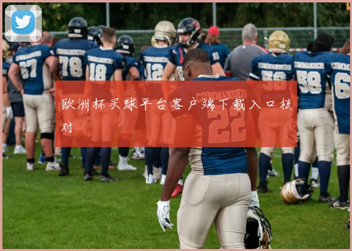 欧洲杯买球平台客户端下载入口核对