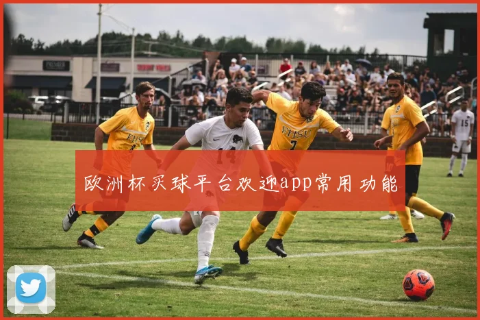 欧洲杯买球平台欢迎app常用功能