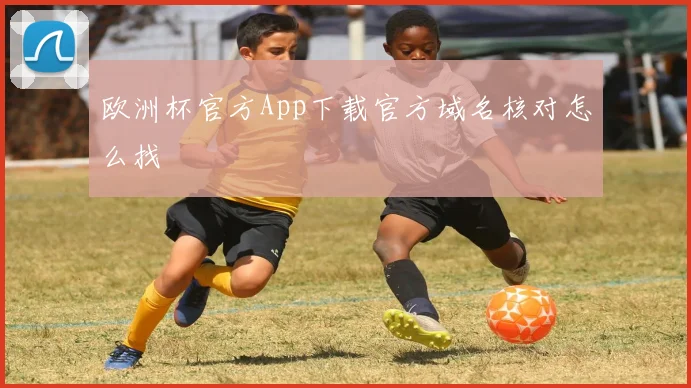 欧洲杯官方App下载官方域名核对怎么找
