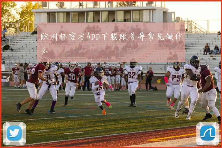 欧洲杯官方App下载账号异常先做什么